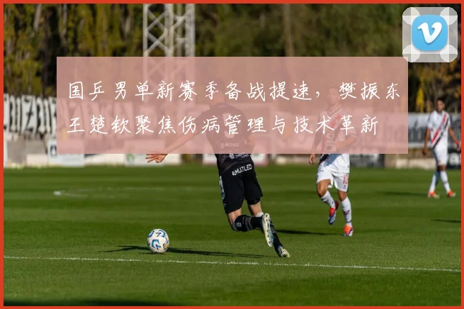 国乒男单新赛季备战提速，樊振东王楚钦聚焦伤病管理与技术革新